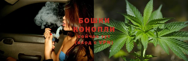 стафф Осташков