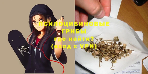 меф Пересвет