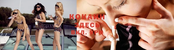 спиды Пестово