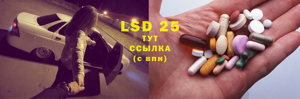 стафф Осташков