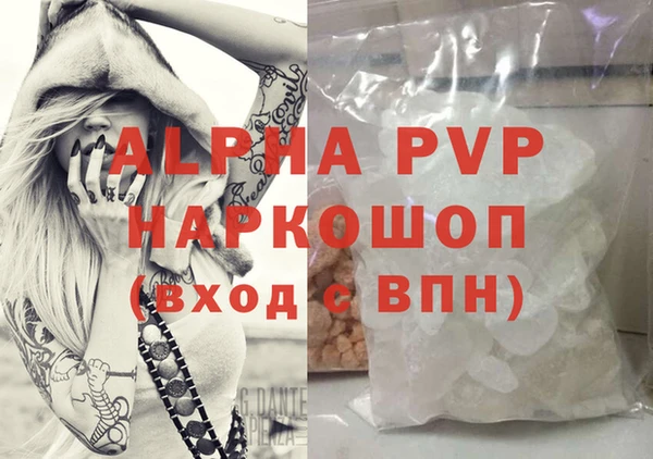стафф Осташков