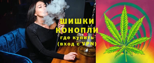 PSILOCYBIN Остров