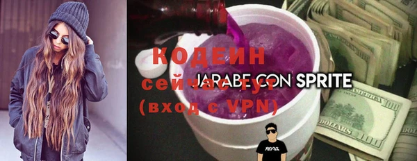 стафф Осташков