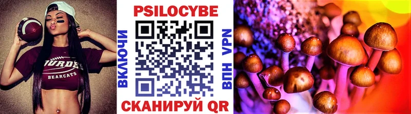 что такое   Барнаул  Псилоцибиновые грибы ЛСД 