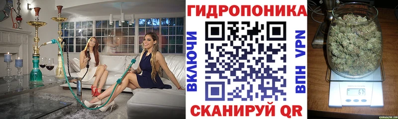 закладки  Барнаул  Марихуана VHQ 